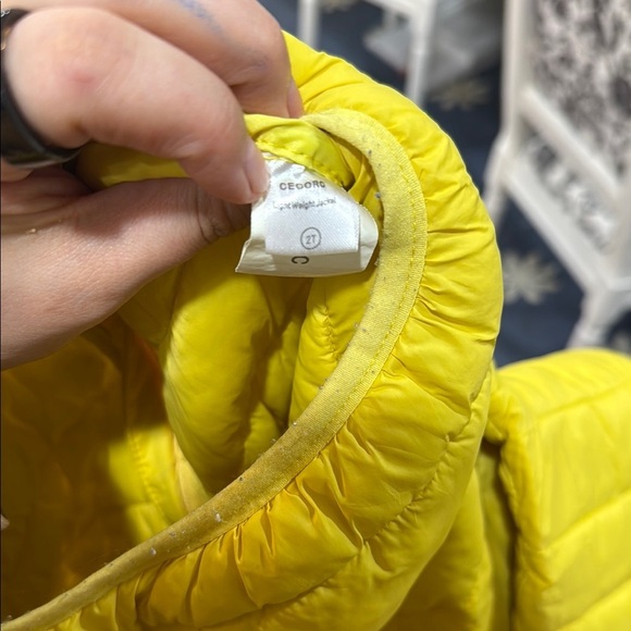 Cecorc Yellow Quilted Hooded Jacket with Ears Unisex Toddler Size 2T - Picture 6 of 6